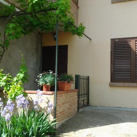 Appartamento In collina Riparbella Esterno foto