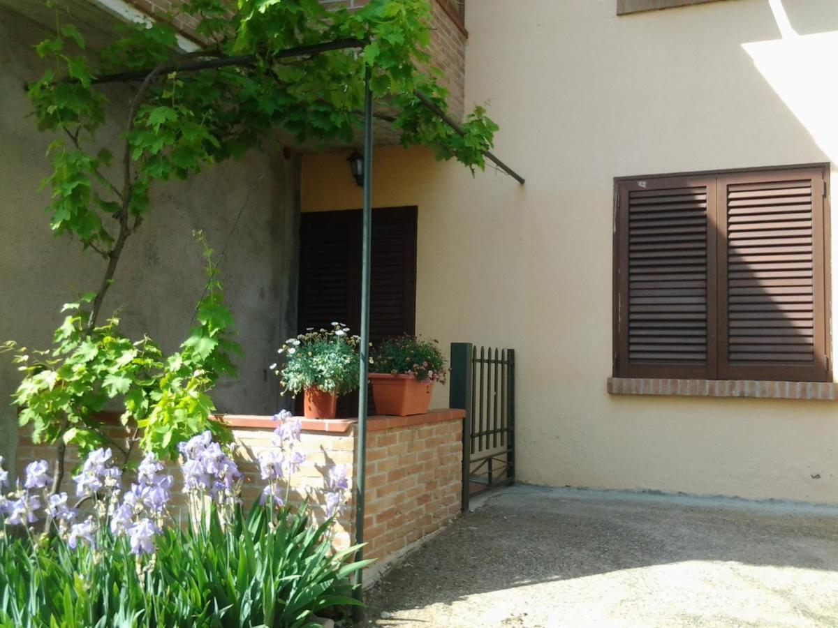 Appartamento In collina Riparbella Esterno foto